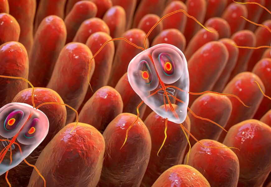 Ilustración de parasitos intestinales