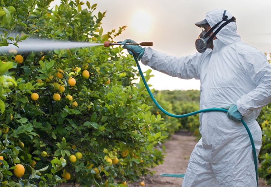 Hombre rociando arbol de frutas
