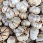 Cabezas de ajo