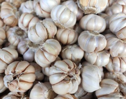 Cabezas de ajo