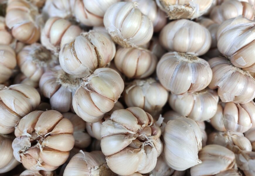 Cabezas de ajo