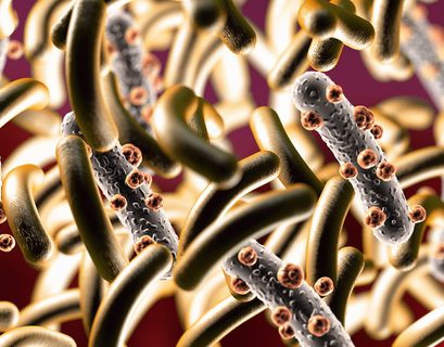 Parásitos intestinales