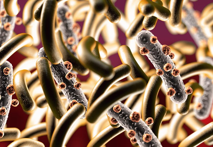 Parásitos intestinales
